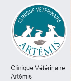 Banque d'accueil Clinique Vétérinaire